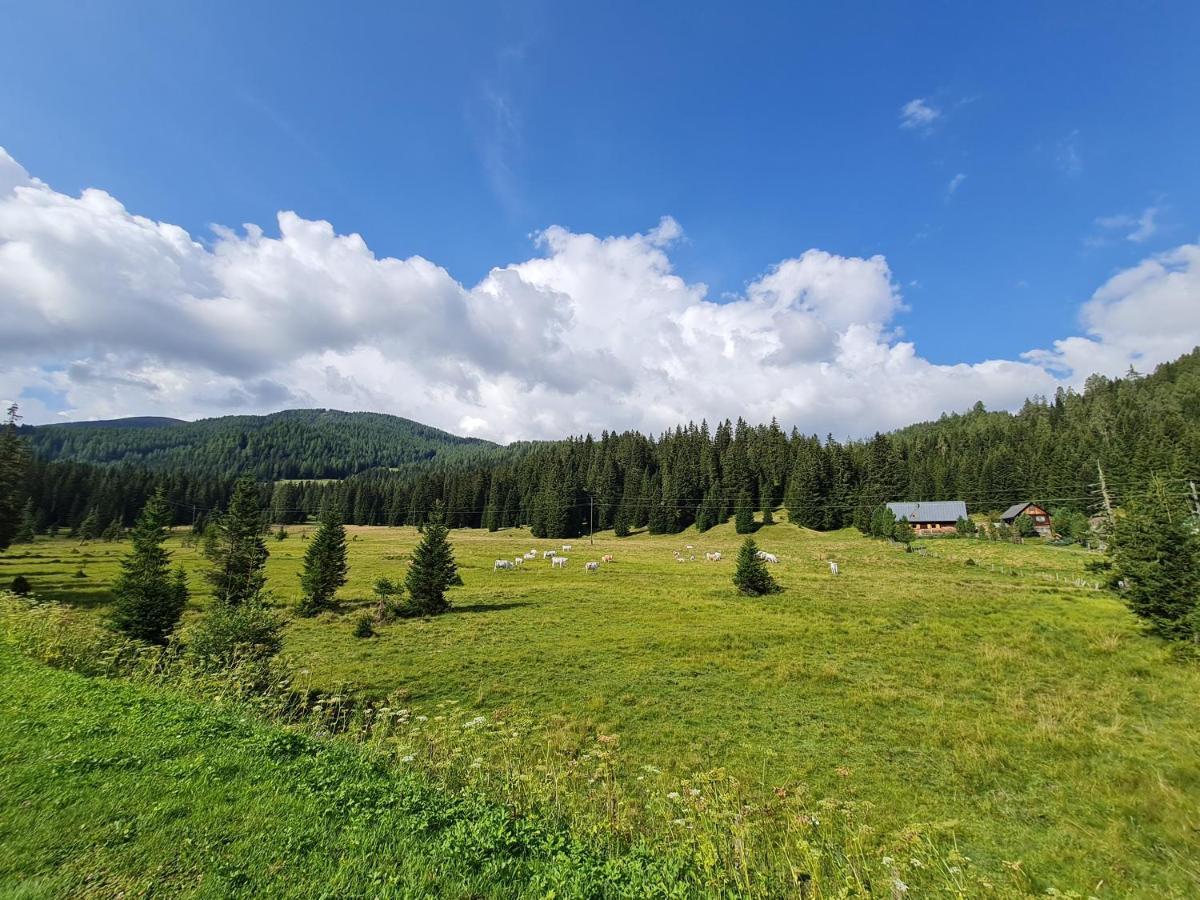Apartmenthaus Almwiese Flattnitz المظهر الخارجي الصورة