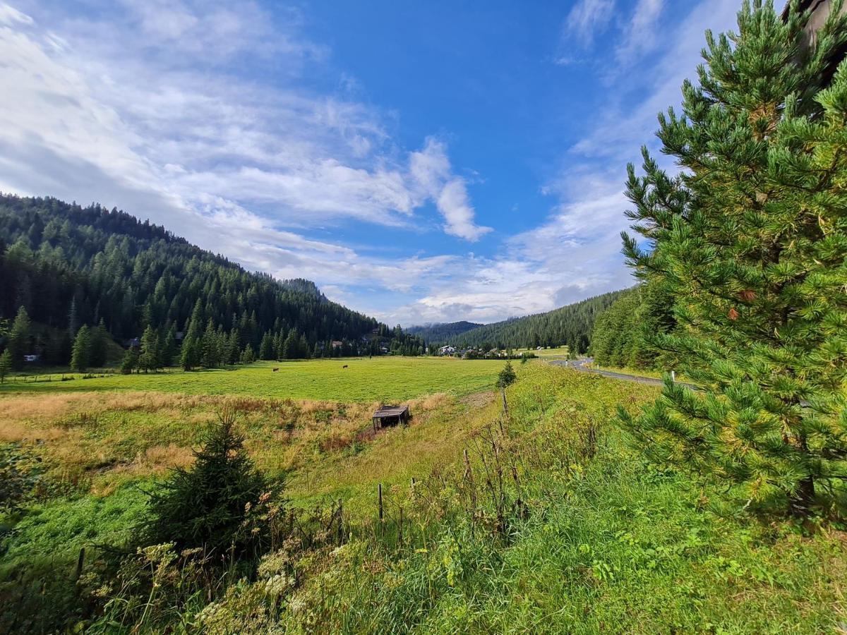 Apartmenthaus Almwiese Flattnitz المظهر الخارجي الصورة