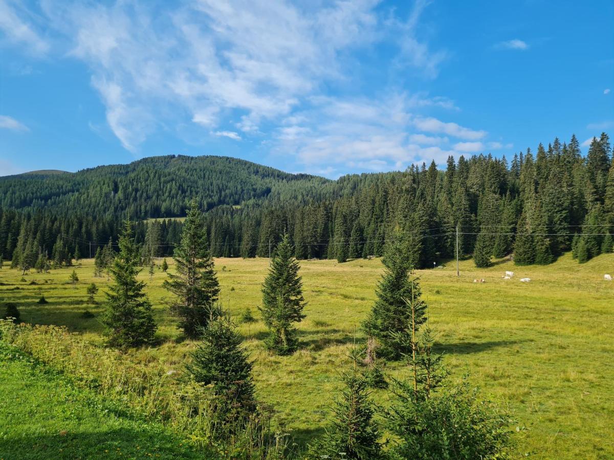 Apartmenthaus Almwiese Flattnitz المظهر الخارجي الصورة