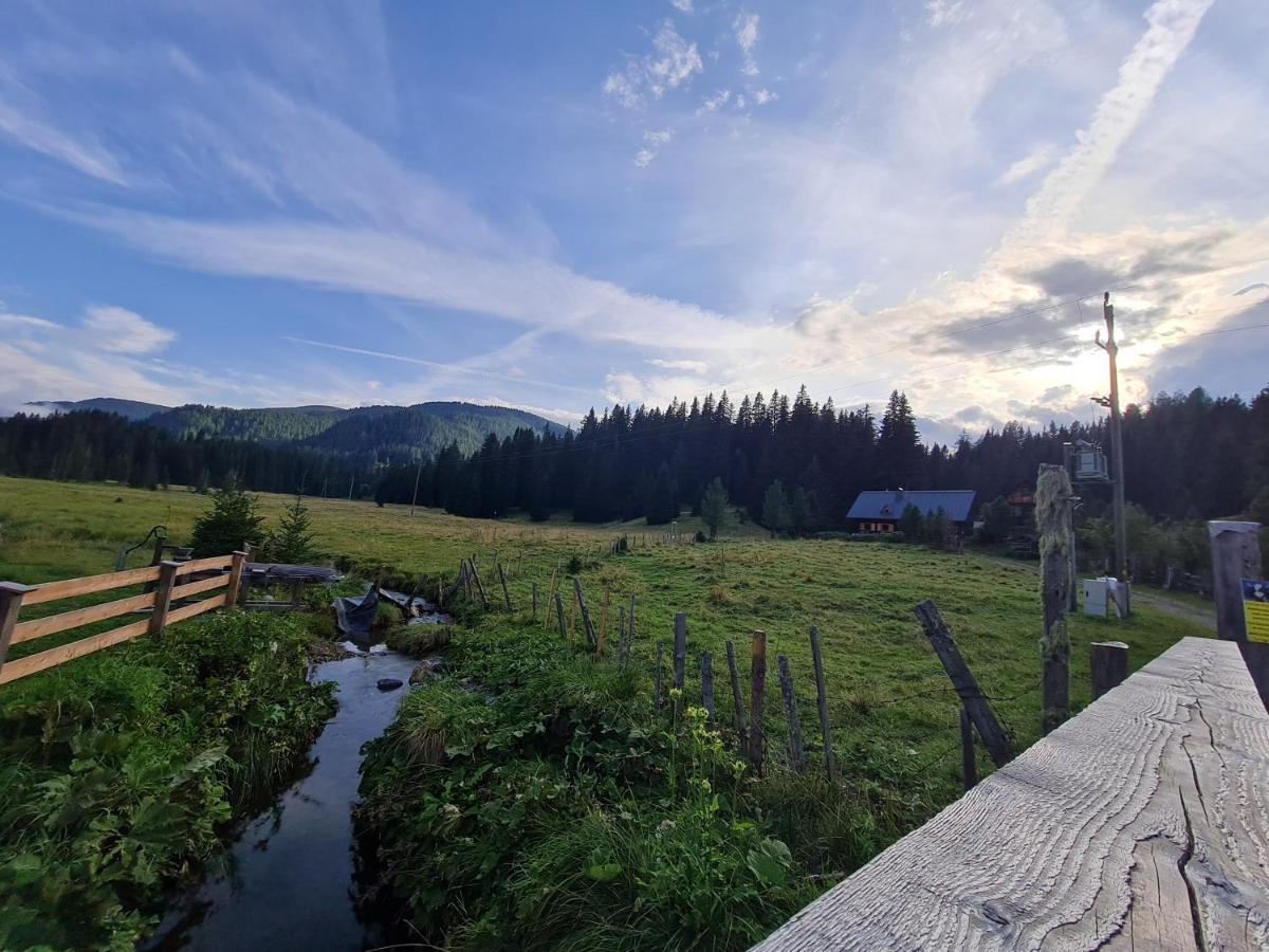 Apartmenthaus Almwiese Flattnitz المظهر الخارجي الصورة