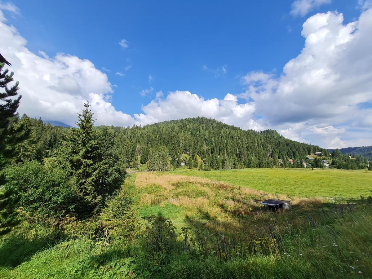Apartmenthaus Almwiese Flattnitz المظهر الخارجي الصورة